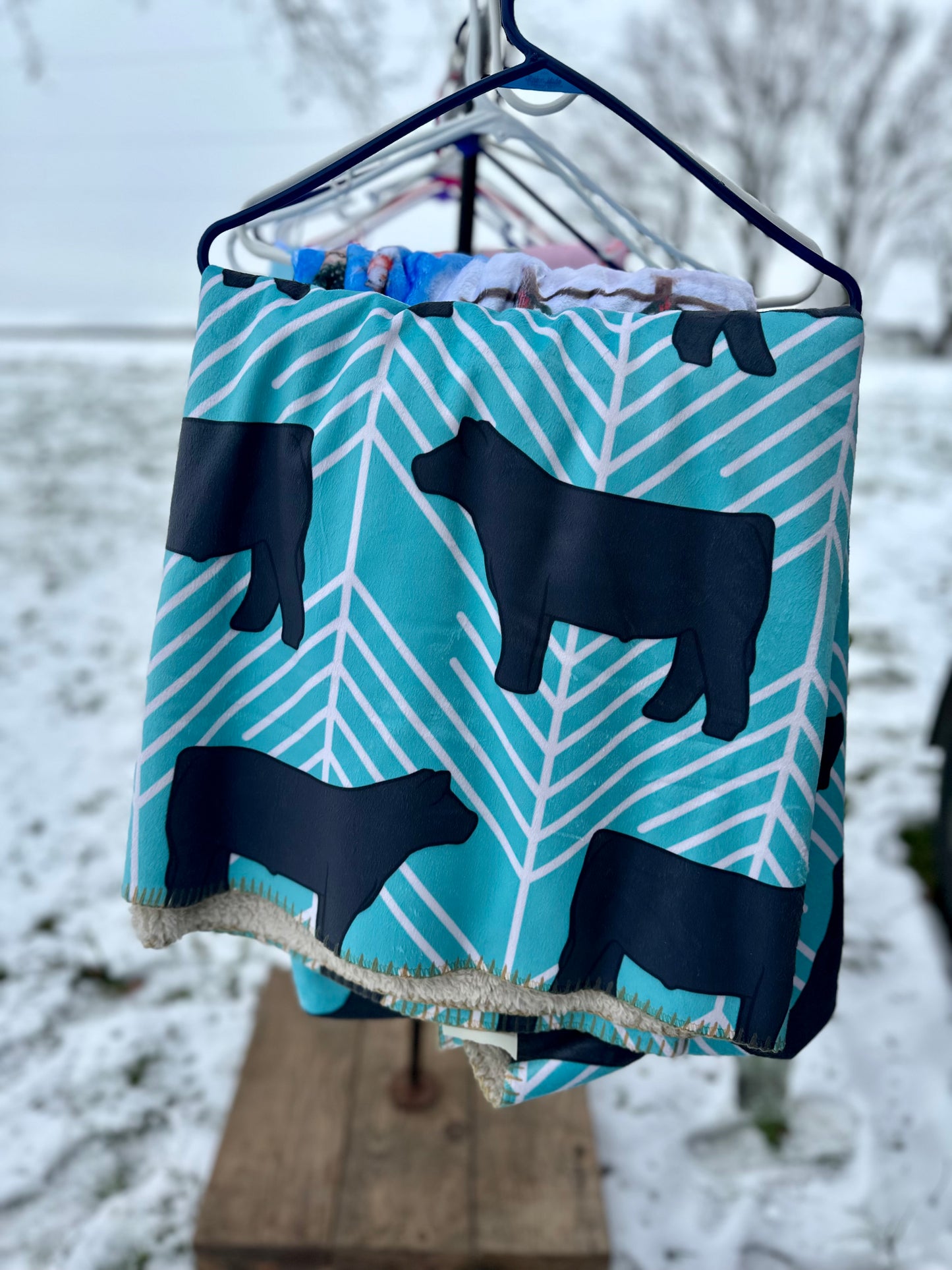 60 x 80 Blanket | Angus Cattle and Turquoise , Sherpa Backed