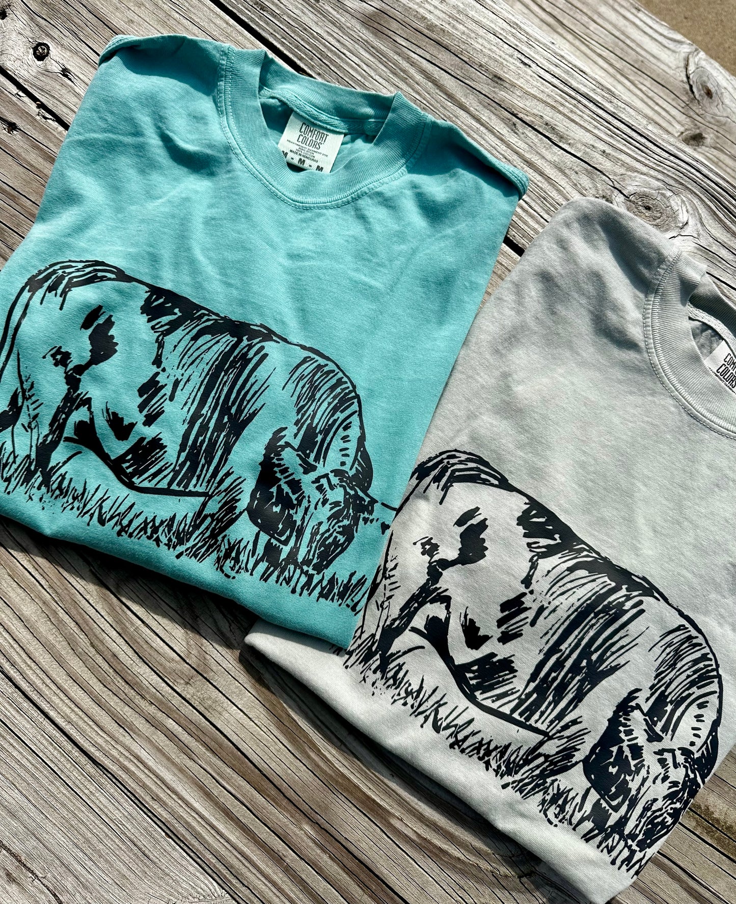 Vintage Cattle Sketch | Adult Tee
