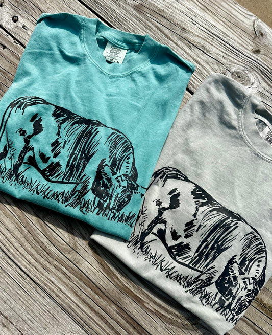 Vintage Cattle Sketch | Adult Tee