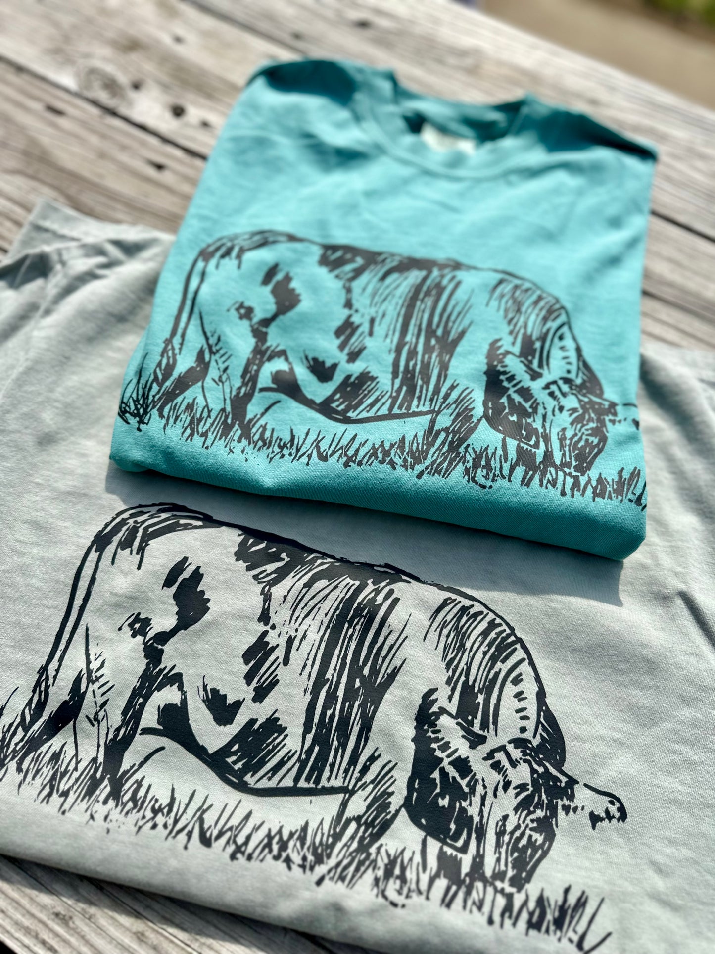 Vintage Cattle Sketch | Adult Tee