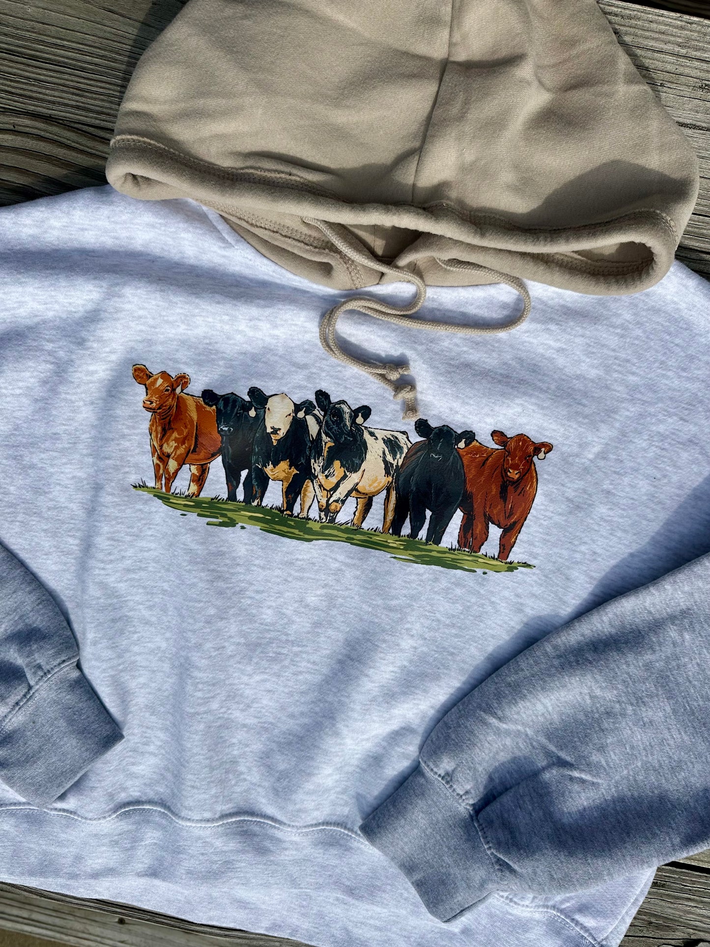 Cattle Round Up | Women’s Color Block ‘Cropped’ Hoodie