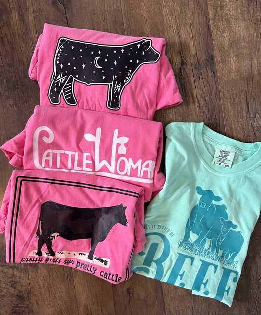 Take Your Pick | Adult Small Tee