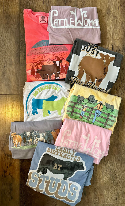 Take Your Pick | Adult Medium Tee